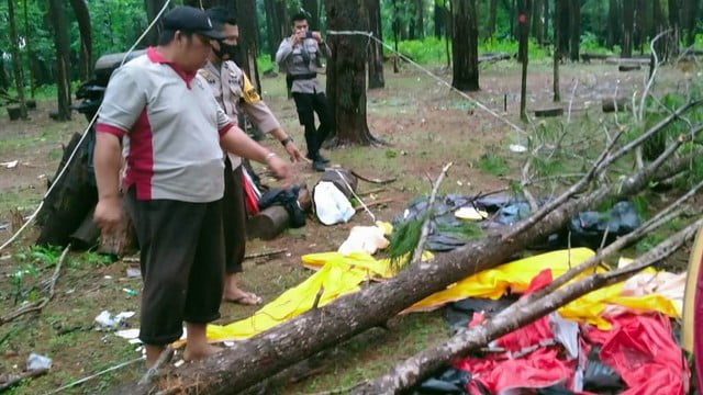 2 Pelajar Rombongan Paskibraka SMK SMTI Makassar Tewas Tertimpa Pohon Pinus